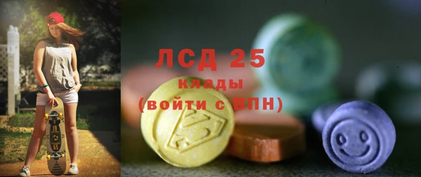 ПСИЛОЦИБИНОВЫЕ ГРИБЫ Алексеевка