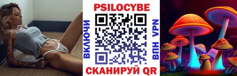 Псилоцибиновые грибы GOLDEN TEACHER  KRAKEN зеркало  Хвалынск  даркнет сайт 
